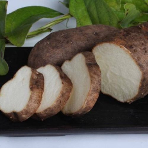 (열대둥근마) 자색 1kg - 이미지 2