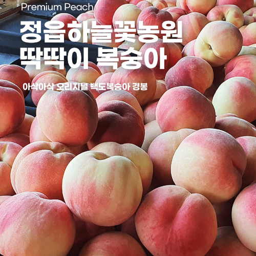 [택배주문] 딱딱이복숭아(경봉) 4kg(10~11과)